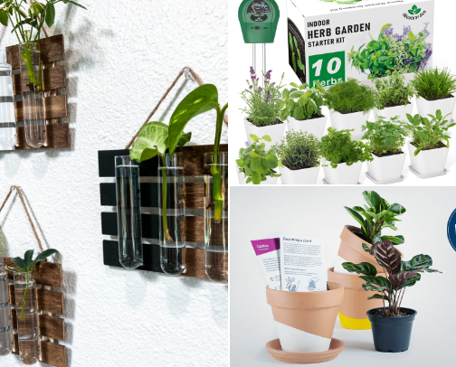 Must-haves for indoor plant parents! cover photo collage