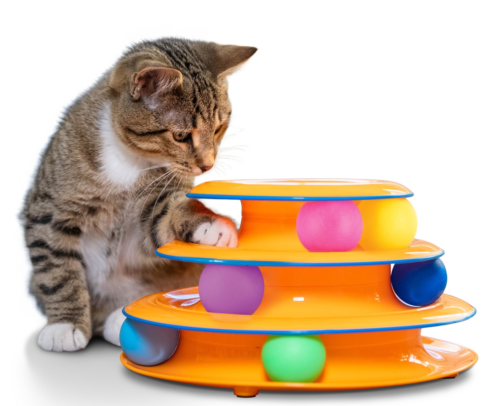 Cat Lover’s Home Essentials 🐱Happy Indoor Cat Essentials 🐾 cover photo collage