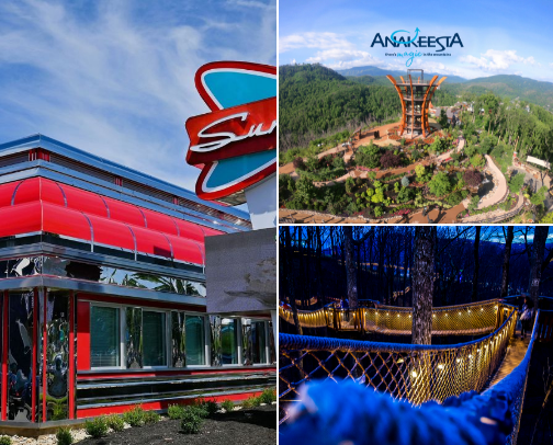Places to go in Pigeon Forge, Tn cover photo collage