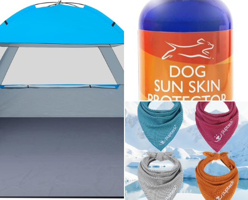 Dog Beach Day Essentials cover photo collage