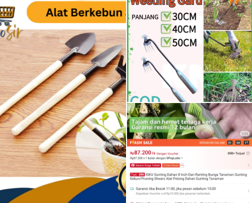 Gardening Tools & Plant Decor for Small Homes cover photo collage