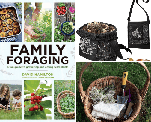 Foraging in nature cover photo collage