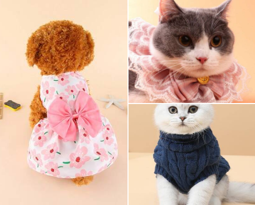 The Ultimate Cat Lover's Collection cover photo collage