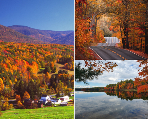 Northeast Fall Foliage: The Ultimate Leaf Peeping Guide cover photo collage