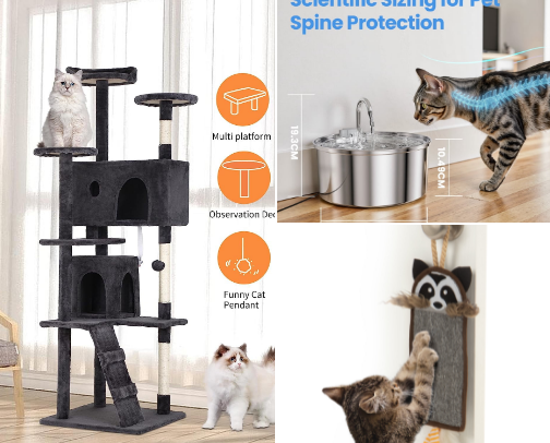 Indoor Oasis: Enrichment & Care Essentials cover photo collage