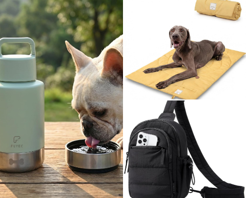 The Ultimate Summer Dog Collection cover photo collage