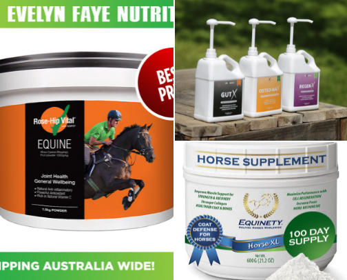 Horse supplements cover photo collage