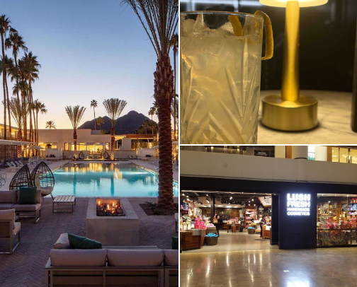 Staycation cactus chic (Scottsdale edition) cover photo collage