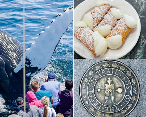 Boston Activities Off the Beaten Path cover photo collage