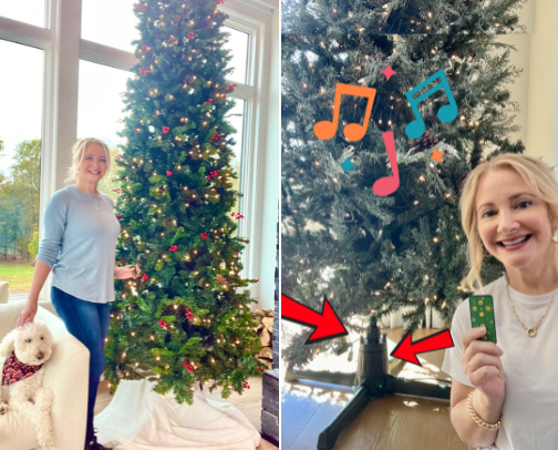 Christmas Tree Must-Haves You'll Love: Decor, Stands & More! cover photo collage