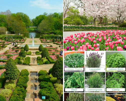 From Seed to Soul: A Journey of Inner Cultivation cover photo collage