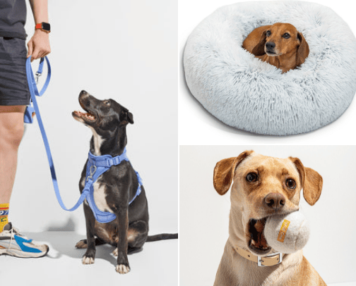 Dog supplies cover photo collage