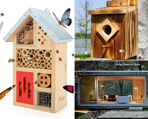 environment friendly cover photo collage