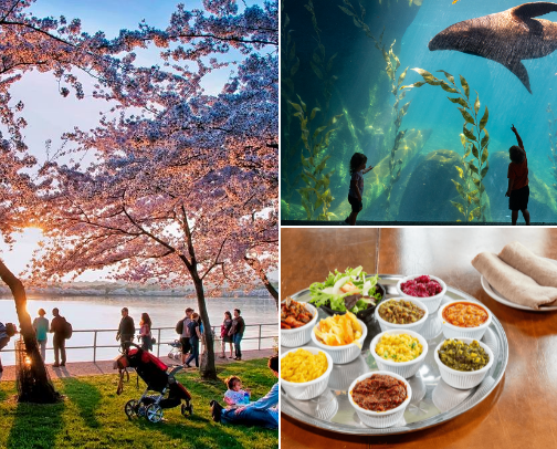 Cute activities to do in DC from a Howard University student 💙 cover photo collage