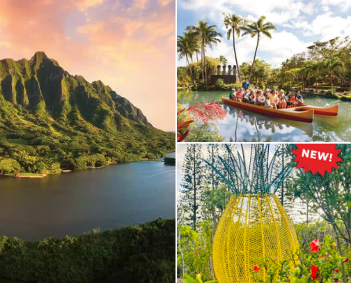 Oahu Hawaii - Off Waikiki and Downtown Honolulu cover photo collage