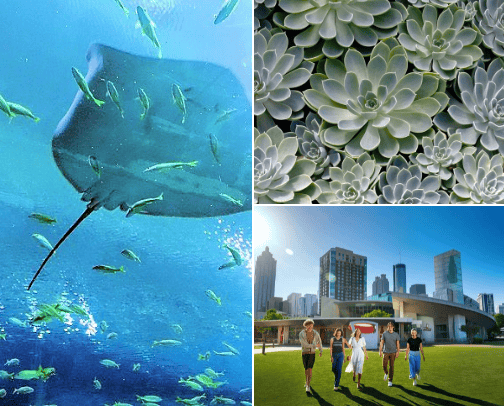 Things to do in Atlanta cover photo collage