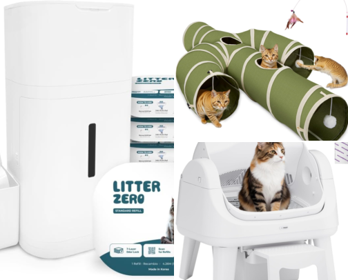 Crazy Cat Lady Here! cover photo collage