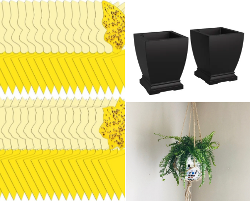 Plants and their accessories cover photo collage