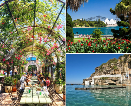 Free Things To Do in Sydney (That I Actually Love) cover photo collage