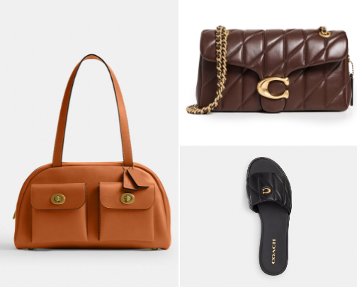 My Coach Obsession: The Complete Holiday Wishlist cover photo collage