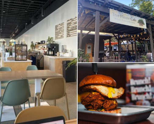 My top West Sacramento recs cover photo collage