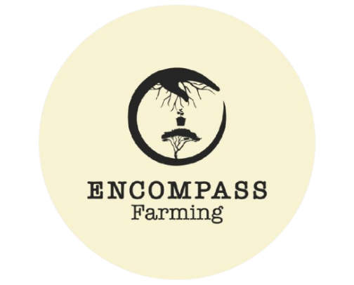 My favorite beauty recs cover photo collage