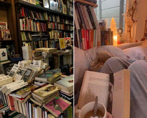 bookstore trip soon?📖 cover photo collage