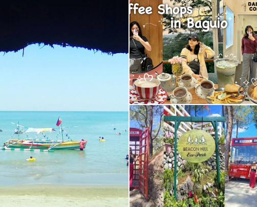 My top local recs cover photo collage