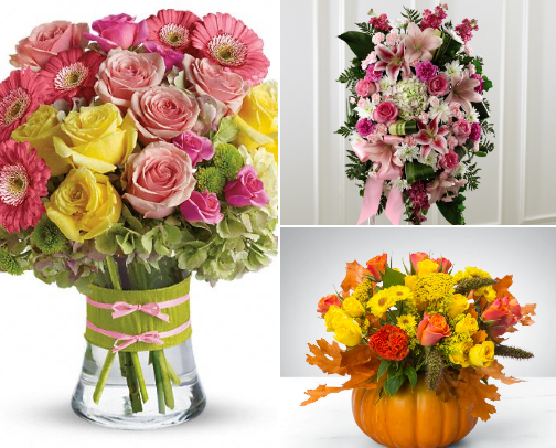 The Green & Cozy Guide NJ - Small Businesses cover photo collage