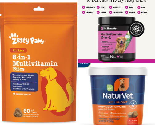 Pet Vitamins That Finally Fixed My Dog's Dull Coat And Stiff Joints cover photo collage