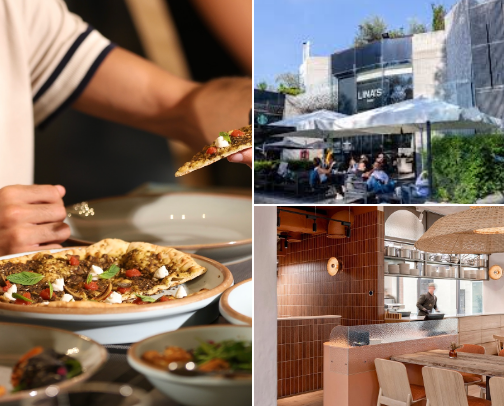 My top Mount Lebanon recs cover photo collage