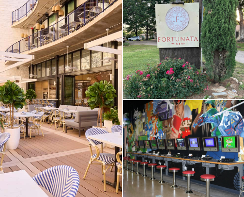 Dallas Vibes: Things To Do (DFW Guide) cover photo collage