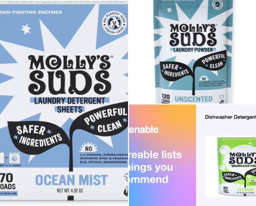 HEALTHY HOME ESSENTIALS cover photo collage