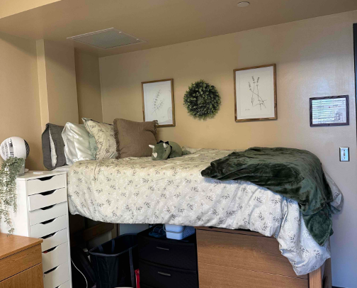 College Dorm ESSENTIALS 📓 cover photo collage
