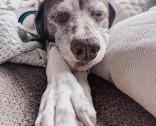 📚Personal Development Reading for a Busy Mom of 5 cover photo collage