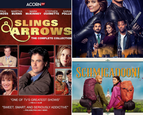 Niche TV Shows I Wish Had Survived Longer cover photo collage