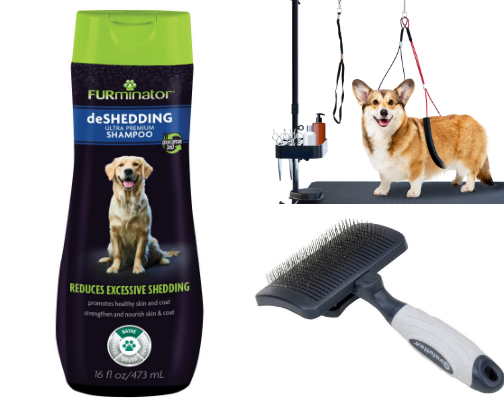 Furry pup life savers cover photo collage