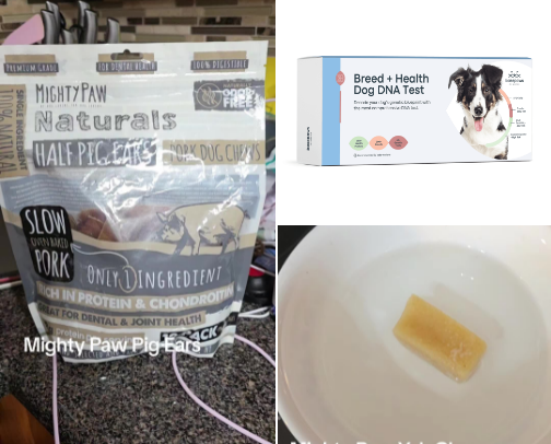 Pet Stuff cover photo collage