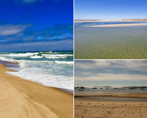 🌊 Cape Cod’s Coastal Gems: My Top 15 Beaches You Can’t Miss cover photo collage