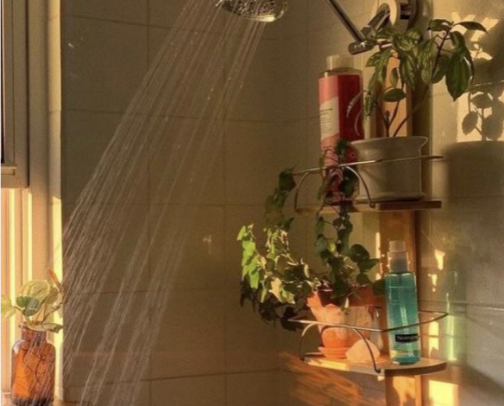 A Look Into My Shower Routine 🚿 cover photo collage