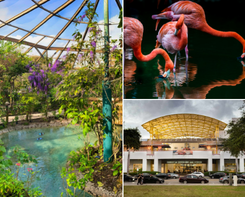Top Attractions in Broward County, Florida cover photo collage