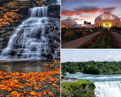 Local Favorites cover photo collage