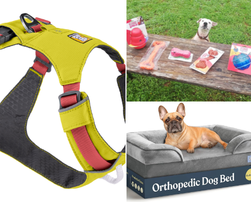 Best essentials for my German Pointer 🐾 cover photo collage