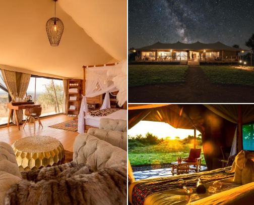 Tanzania Safari Travel: Tours, Where To Stay, Packing & Tips! cover photo collage