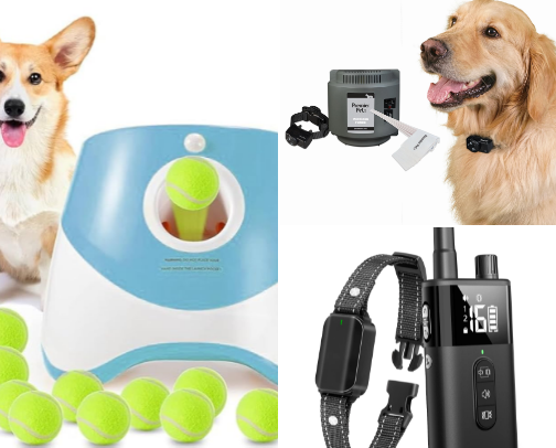 Fetch, Chew, Repeat: The Ultimate Gear for Active Dogs cover photo collage