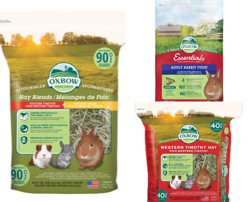 Bunny Starter Kit: Everything Your Bunny Needs cover photo collage