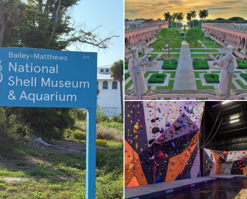 Places in Florida 🐊🍊 cover photo collage