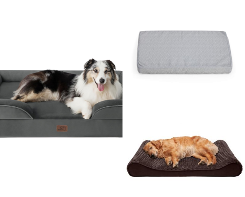 Senior Dog NEEDS! cover photo collage