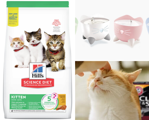 Cat Essentials I’d Actually Buy 🐈‍⬛ cover photo collage