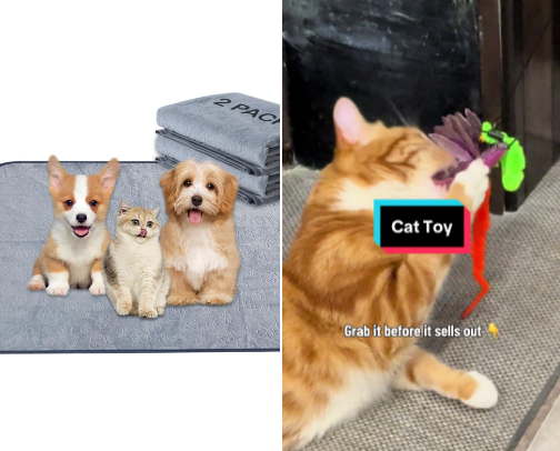 Pet Essentials cover photo collage